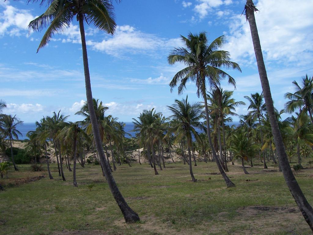 Blue Moon Beach Holiday Resort Inhambane Room photo