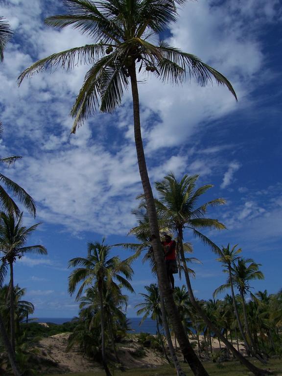 Blue Moon Beach Holiday Resort Inhambane Exterior photo